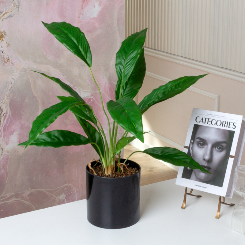 ЦС212-1(F) Калатея искусственная,  зеленая