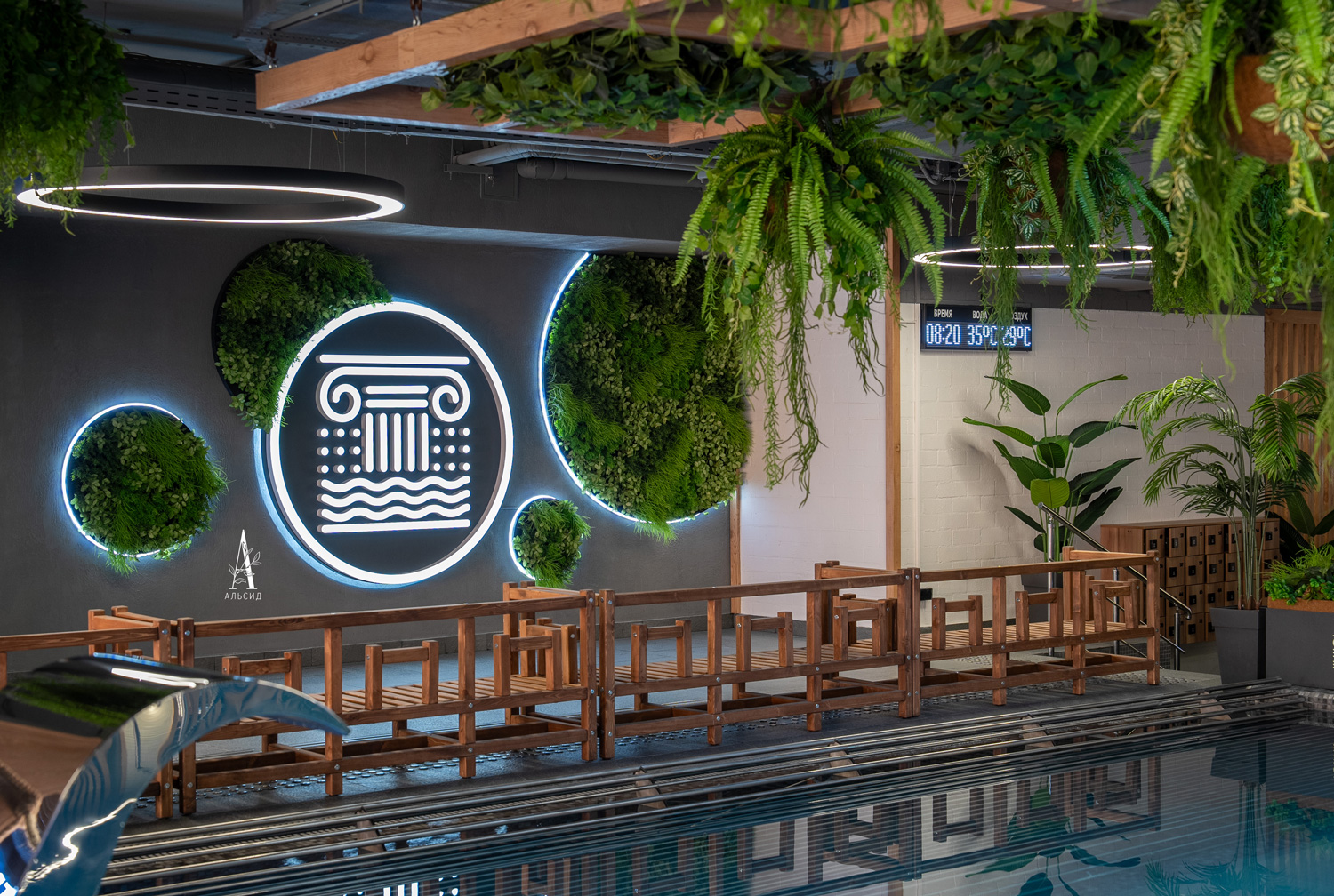 ФП05(F) Фитопанно искусственное с подсветкой d59см_4