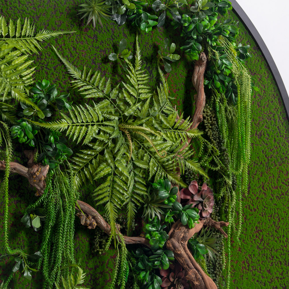 ФК52/20(з)(F) Фитокартина d190см в черной раме (S=2,83 кв.м.)_3