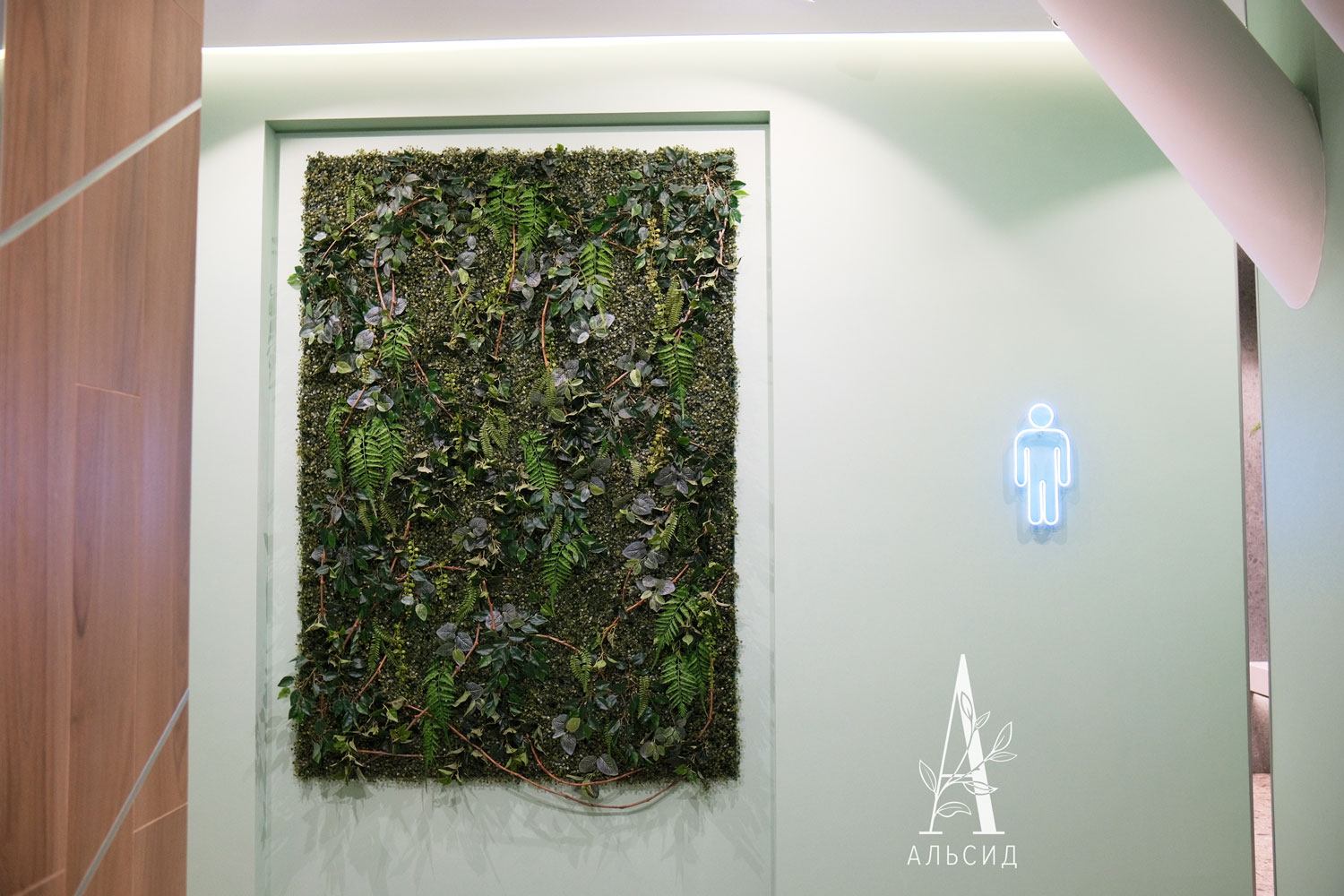 ФТС126 Фитостена Самшит с папоротником на металлической сетке, за 1кв.м_5