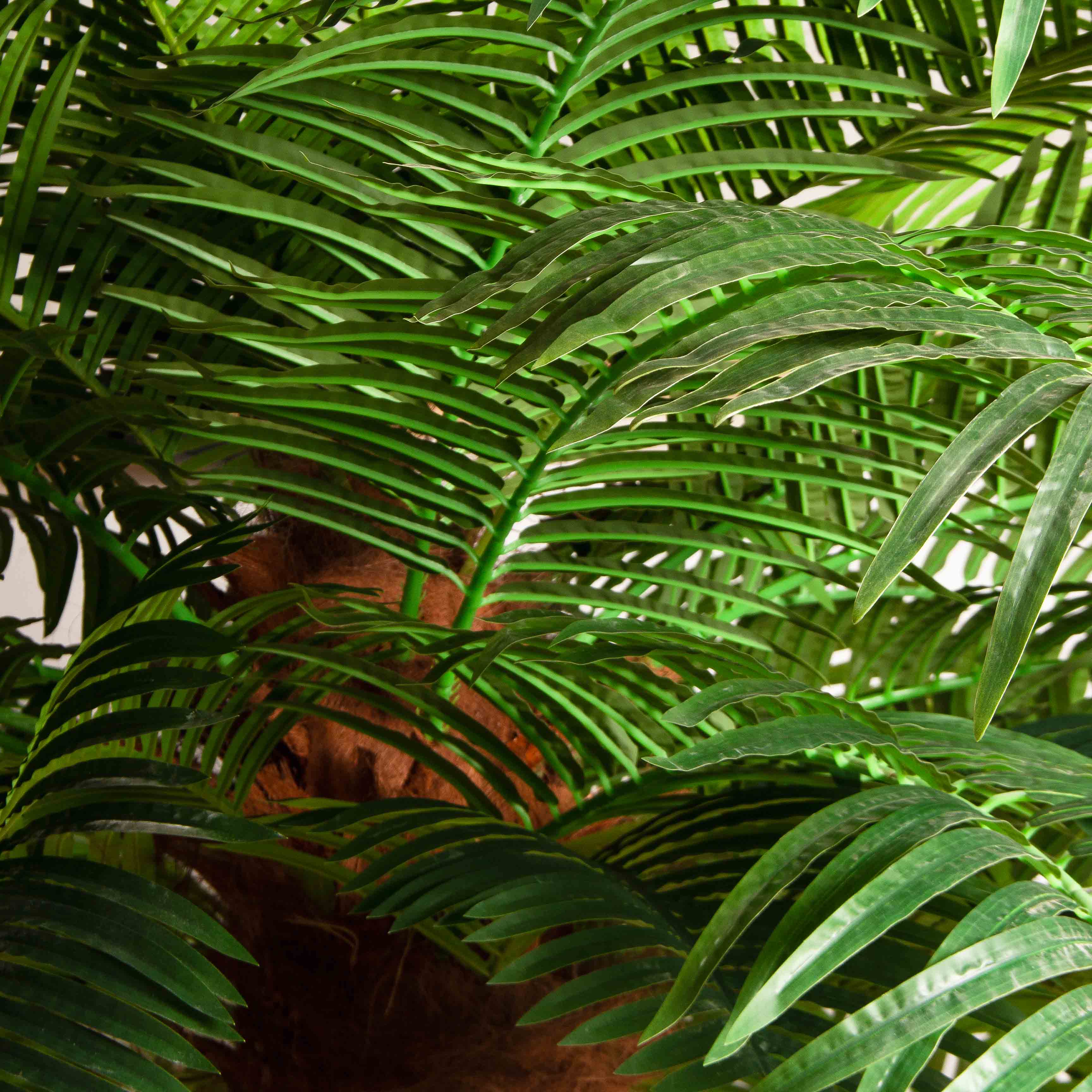 ПС450Разб/ТР/49Прем(Пр)(F) Пальма Арека искусственная h450см на мет.основании_7