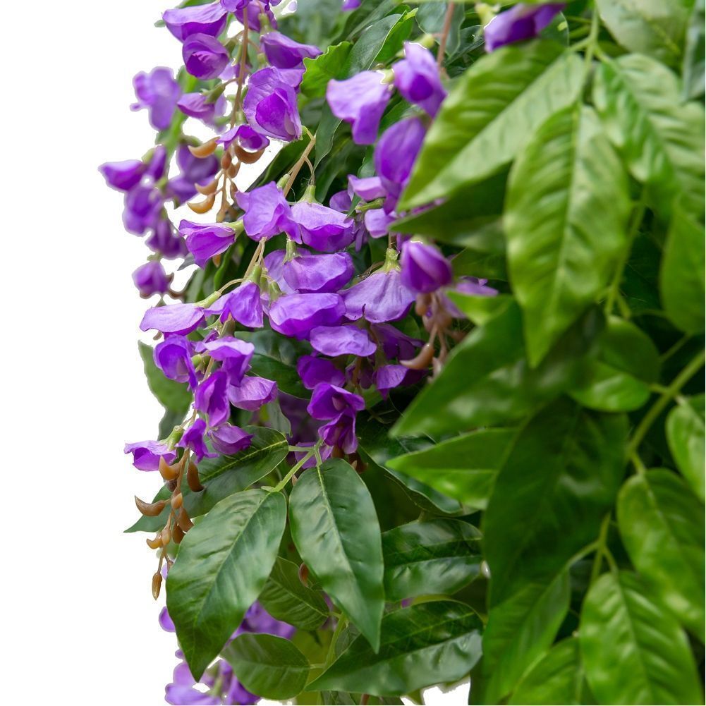 160/УК/424-2 Глициния(вистерия) сиреневая h160см (латекс)_2