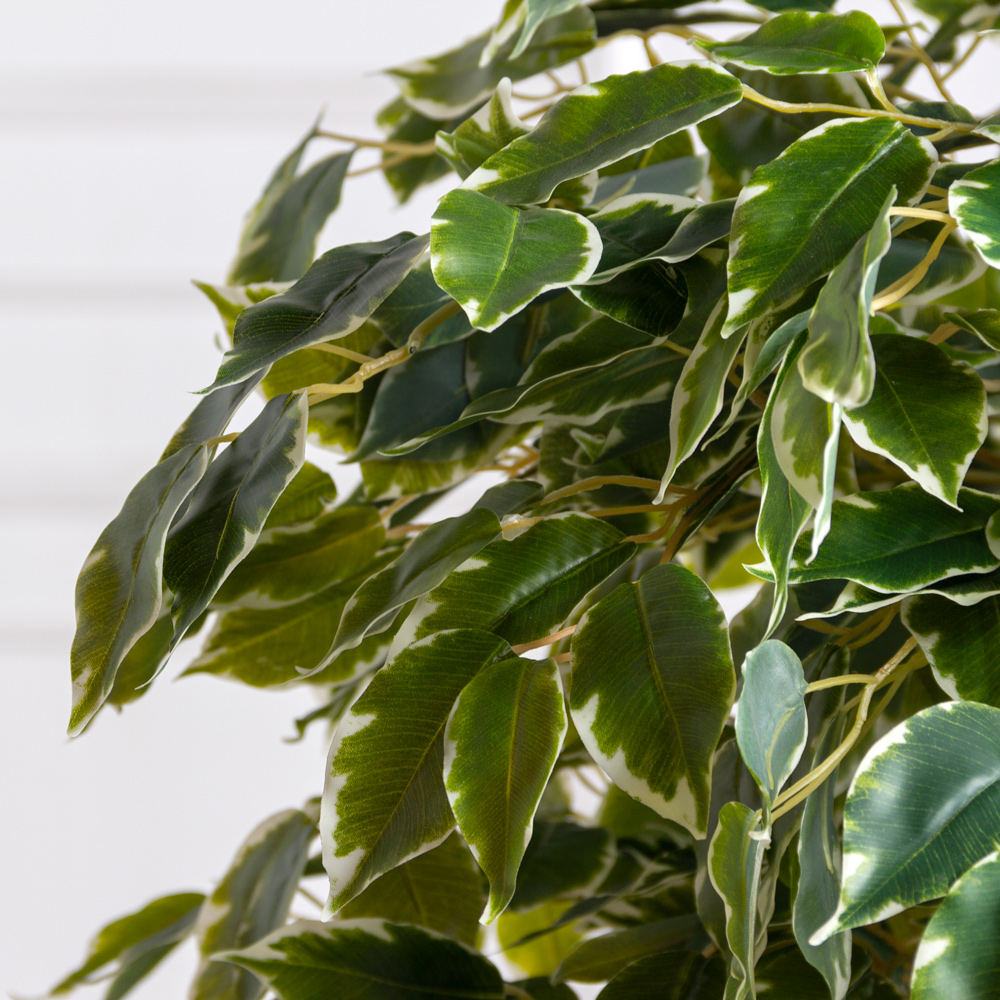 БЛ100/ОС/23М(F) Фикус искусственный h100см (латекс)_2