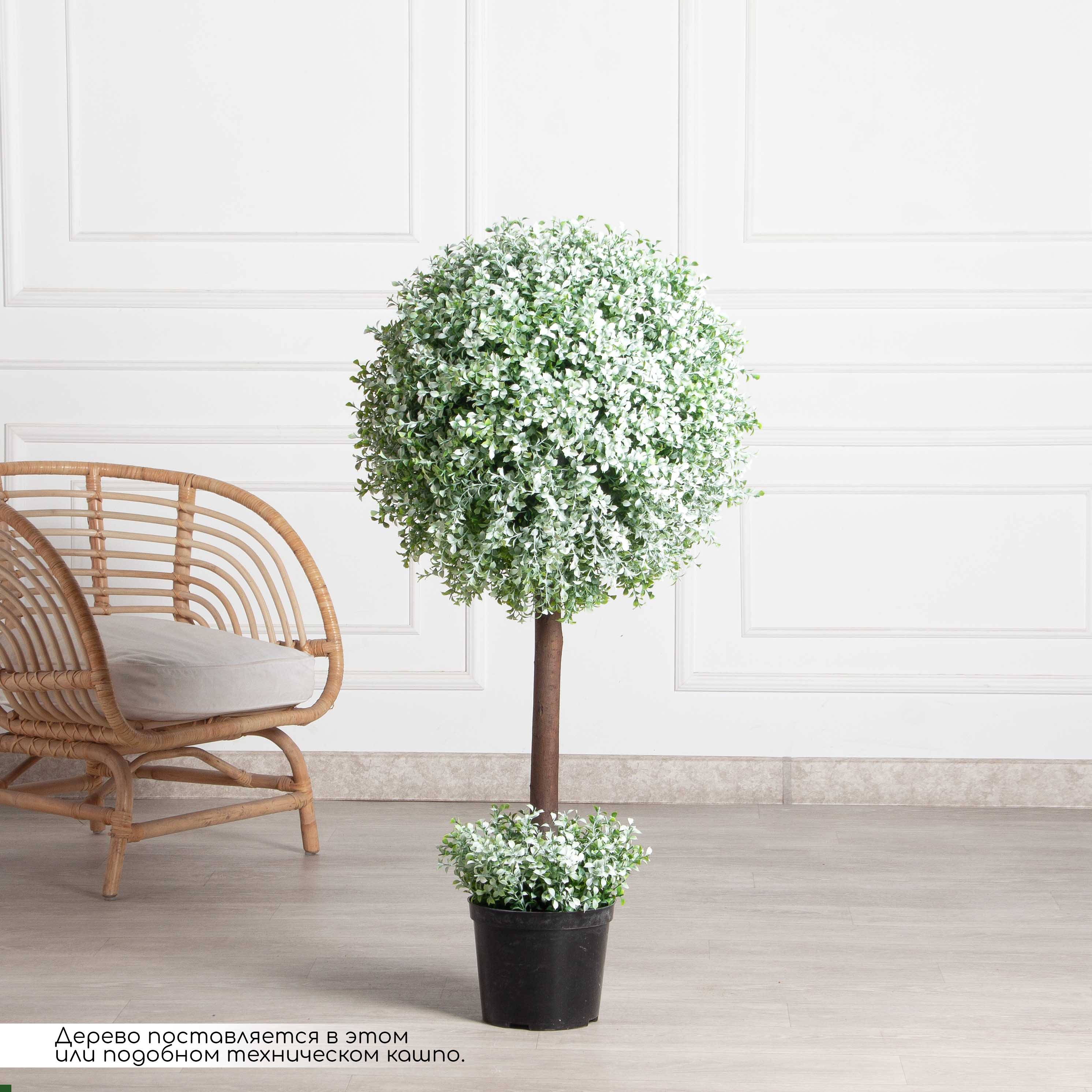 СШ120/229-1(F) Самшит-шар Премиум (с патиной)_2