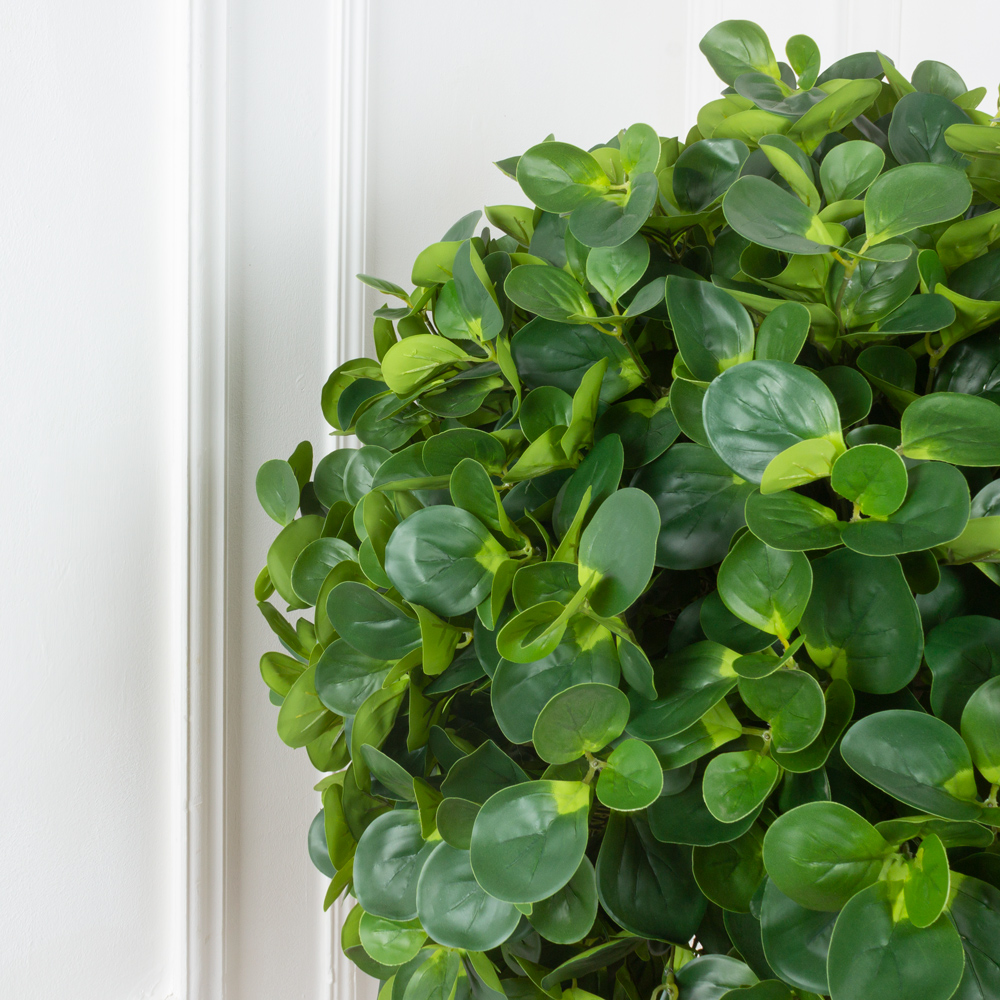 150/РН/473 Питтоспорум искусственный h150см_2