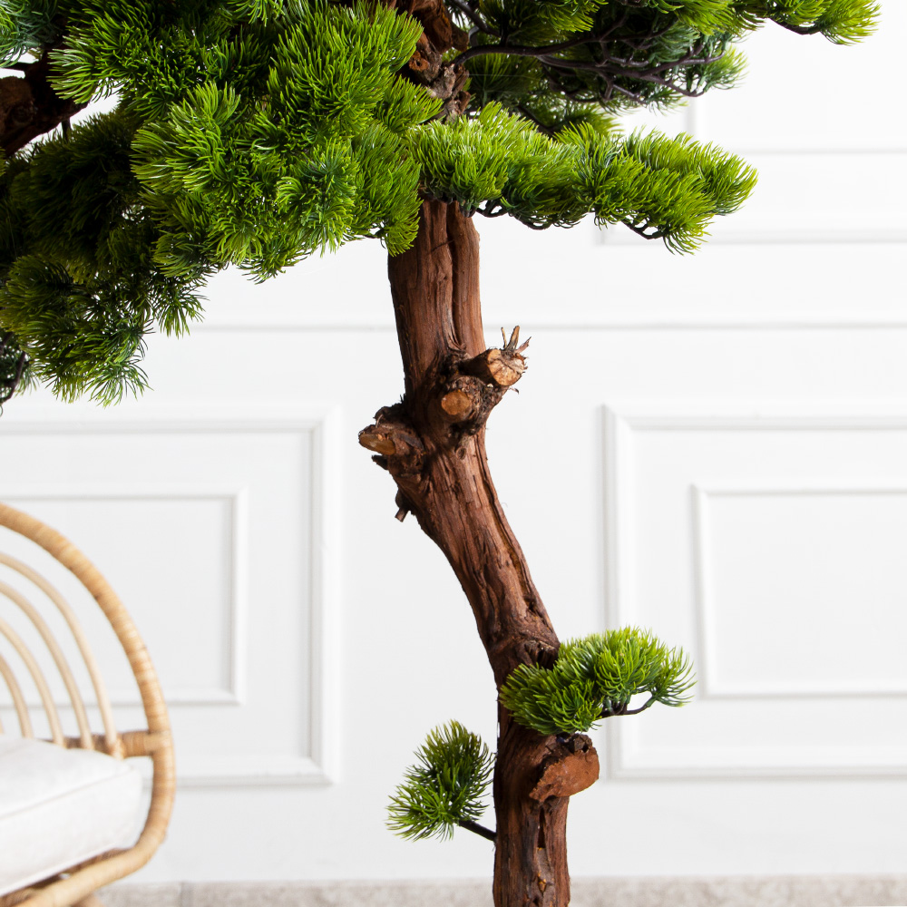 БС180/ОС/30(з)(F) Бонсай искусственный Сосна h180см_5