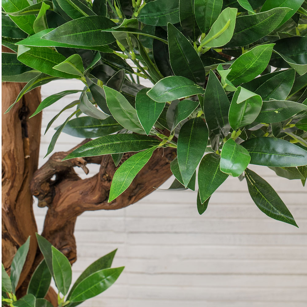 БЛ 180/ОС/2К/27М(з) Лавр (латекс) 180см_4