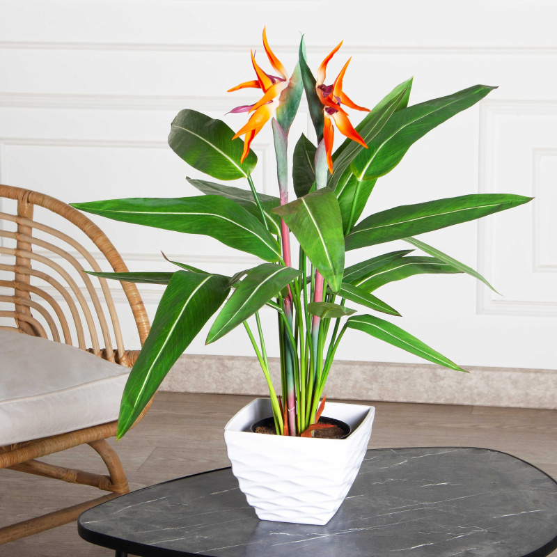 К075*3-3(Пр)(F) Стрелиция куст искусственный с цветами средний h75см (латекс)_1