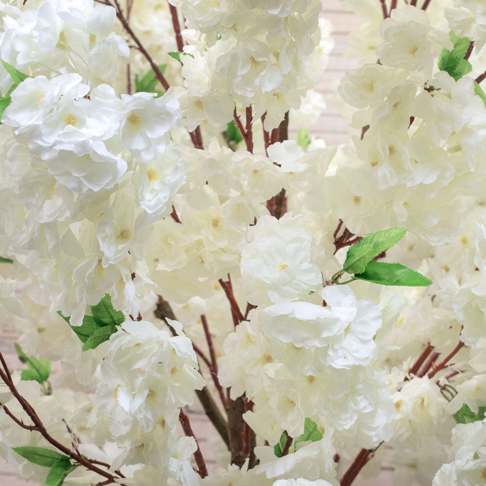 230/РН/225 Сакура белая h-230см_2