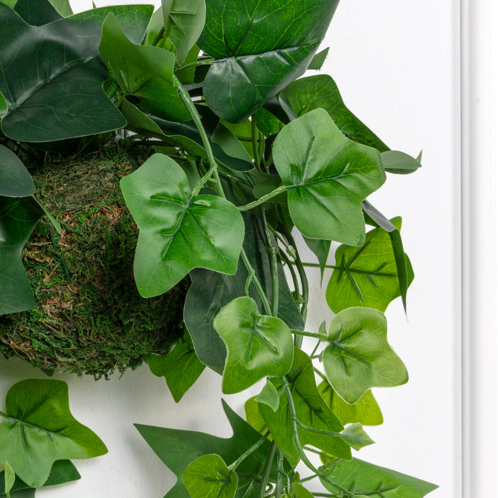 ККД49/74(з)(F) Кокедама искусственная с плющем хедерой d10см_2