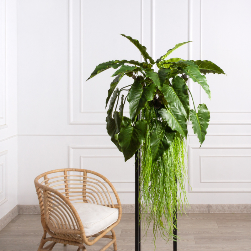 БК 05(F) Композиция с каладиумом на блоке 15*h10см_7