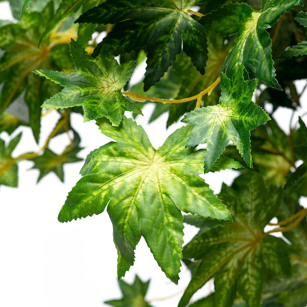 180/РОС/77 Итальянский клен 180см_2