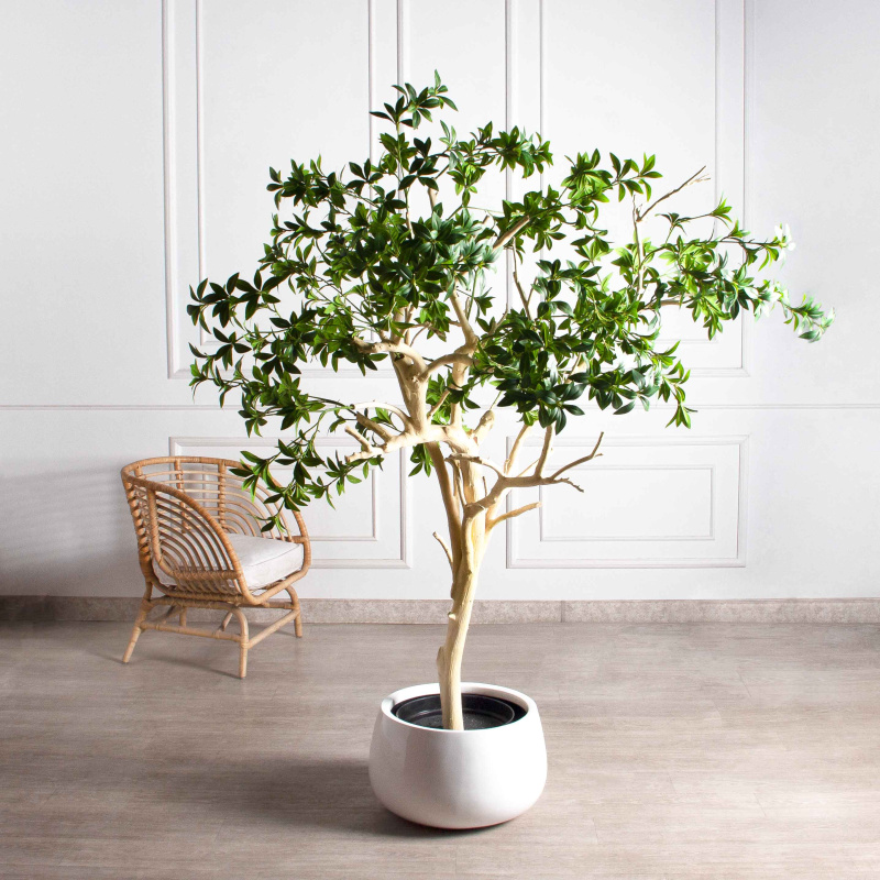 200/ДА/526(з)(F) Бересклет искусственный h200 d160см в кашпо d33 h24,5см, латекс_1