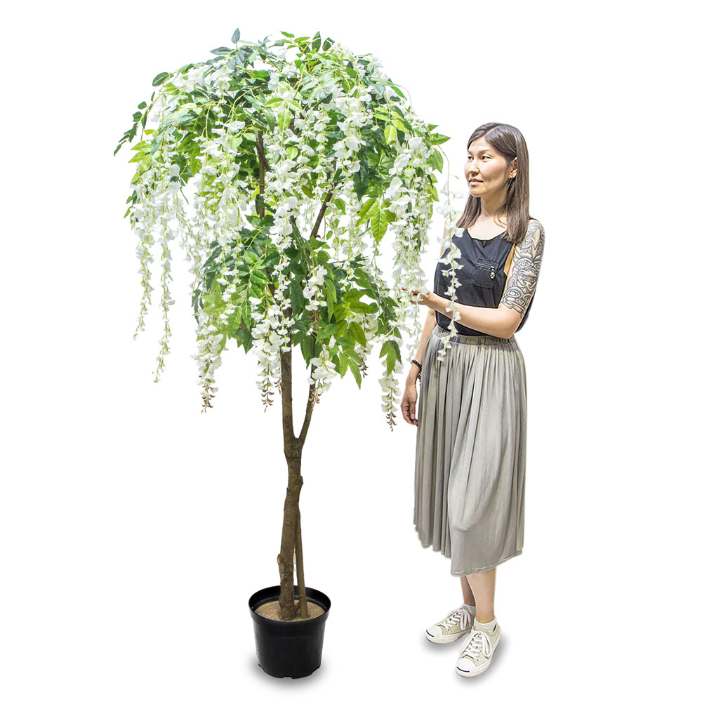 190/РН/424-1 Глициния (вистерия) белая, h190см(латекс)_3