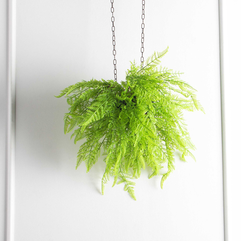 БК11(F) Композиция с папоротником Давалия на блоке 15*h10см_1