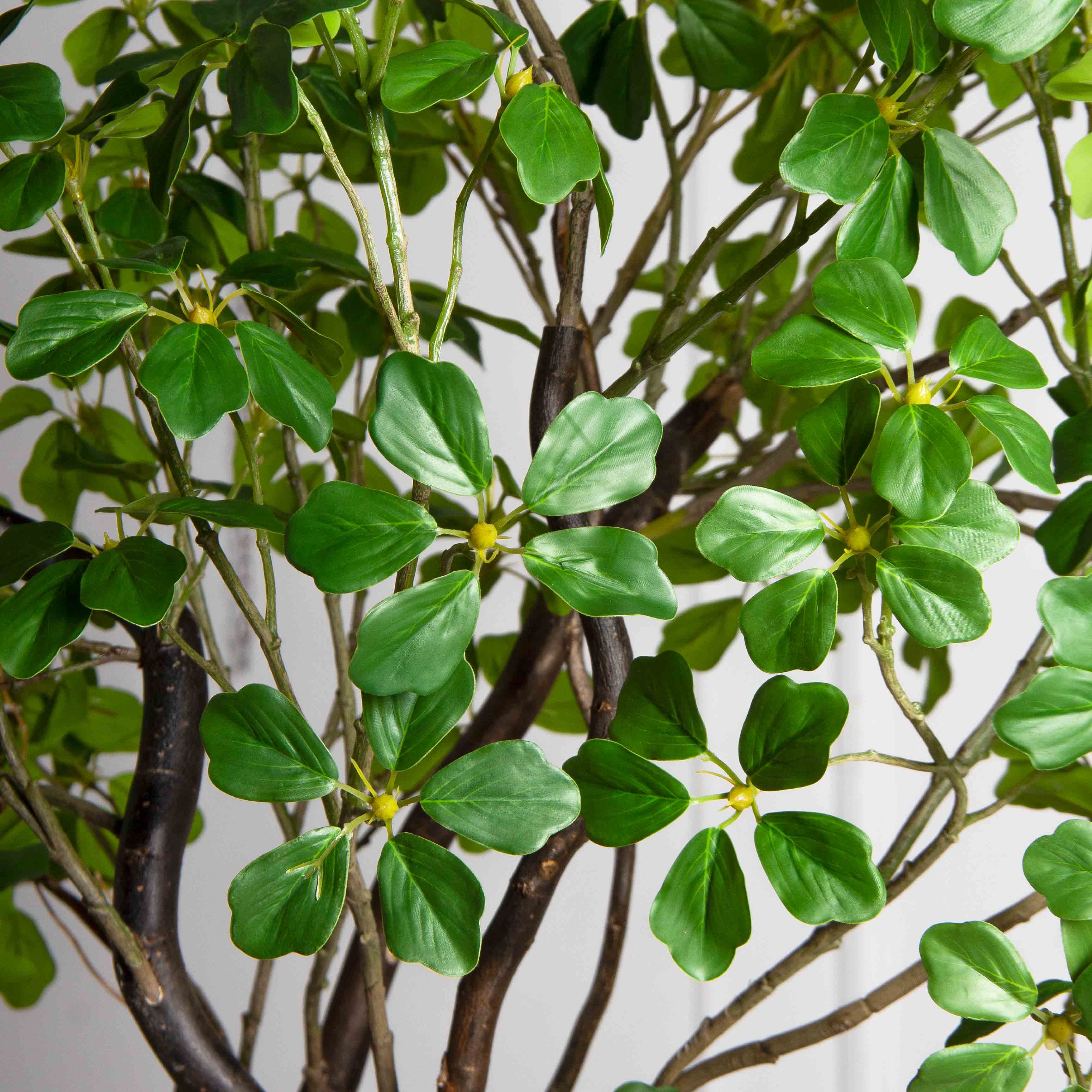 220/ВИТ/АСС/534(Пр)(F) Шеффлера искусственная Компакта  h220см_6