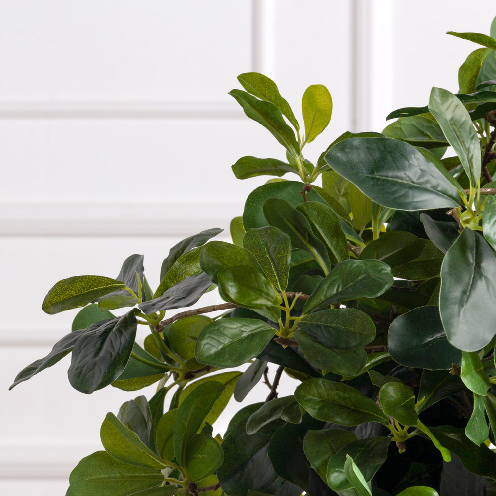 ВМ7-1(F) Вставка модуль Шеффлера куст h55см (латекс)_2