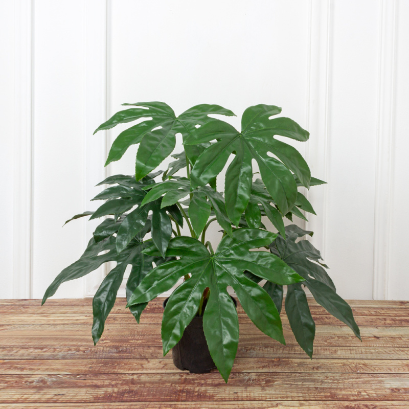 К50/471 Аралия искусственная h50см, в кашпо d15см_2