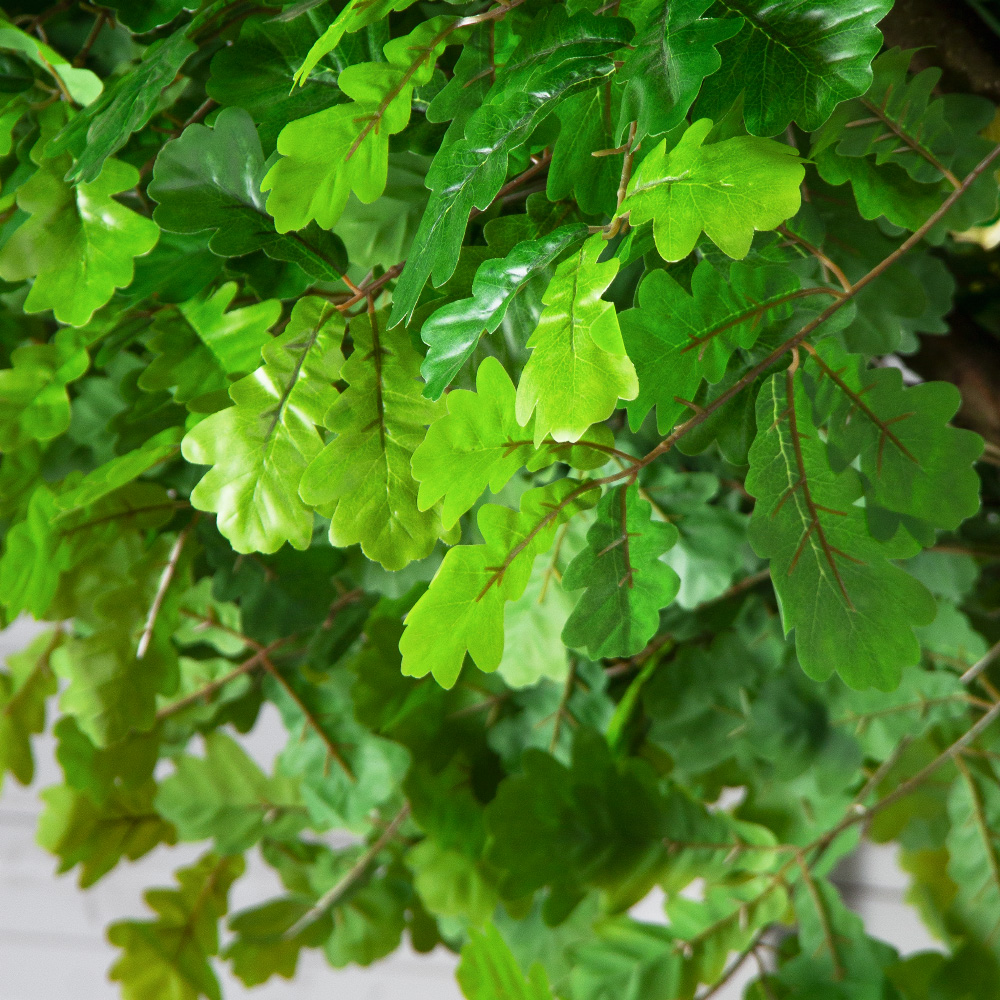 500Разб/ТР/222-1(F) Дуб искусственный разборный h500см d500см_7