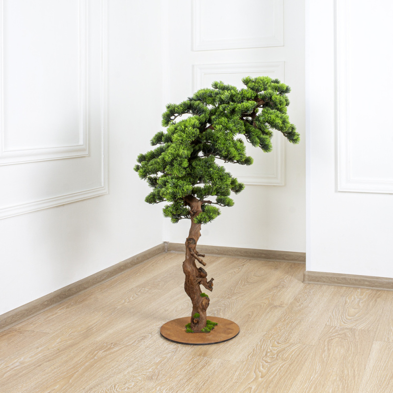 БС100/ОС/30-1(з.) Бонсай Сосна h100см на основании _5