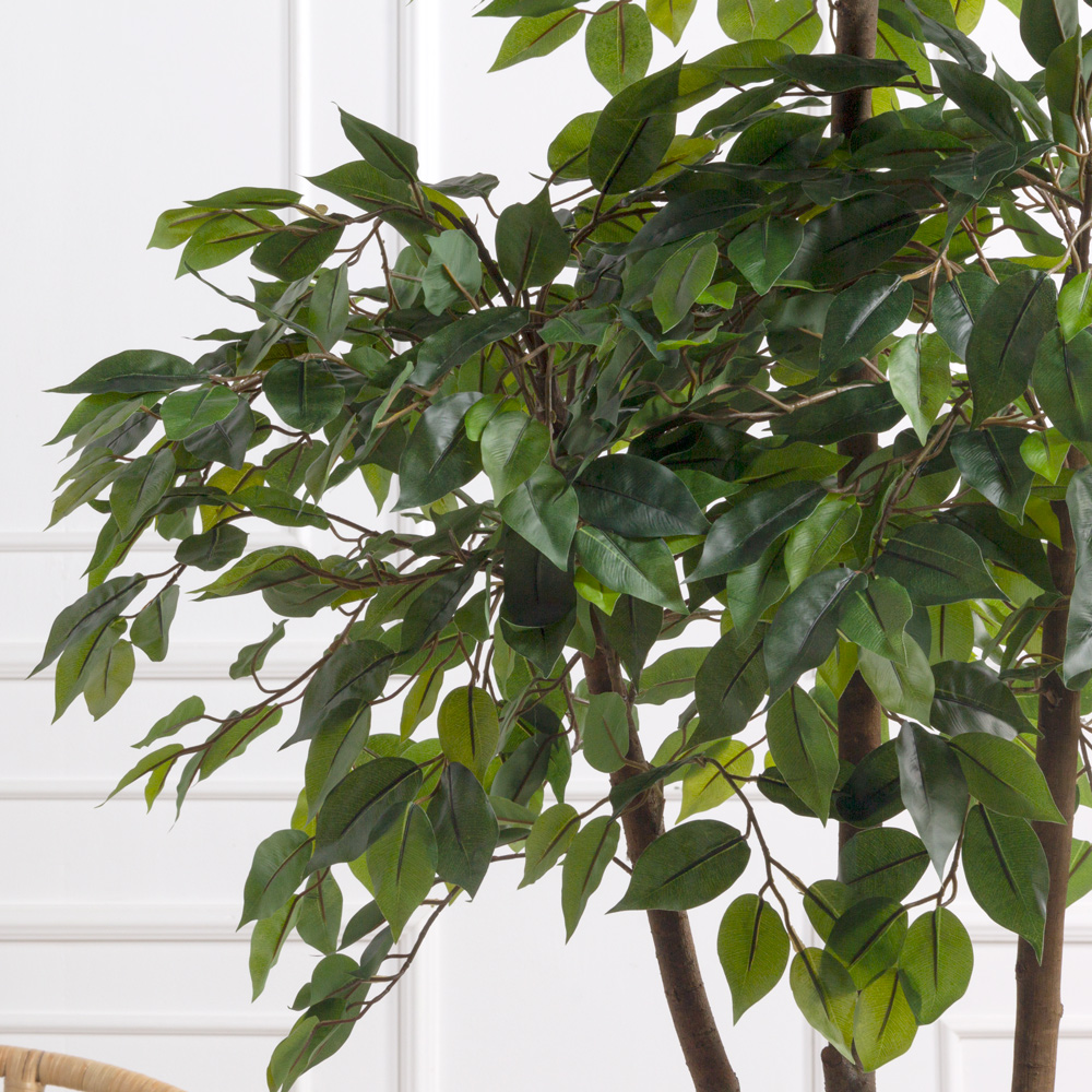 220/РУ/34(з)(F) Фикус искусственный разноуровневый h220см (латекс)_2