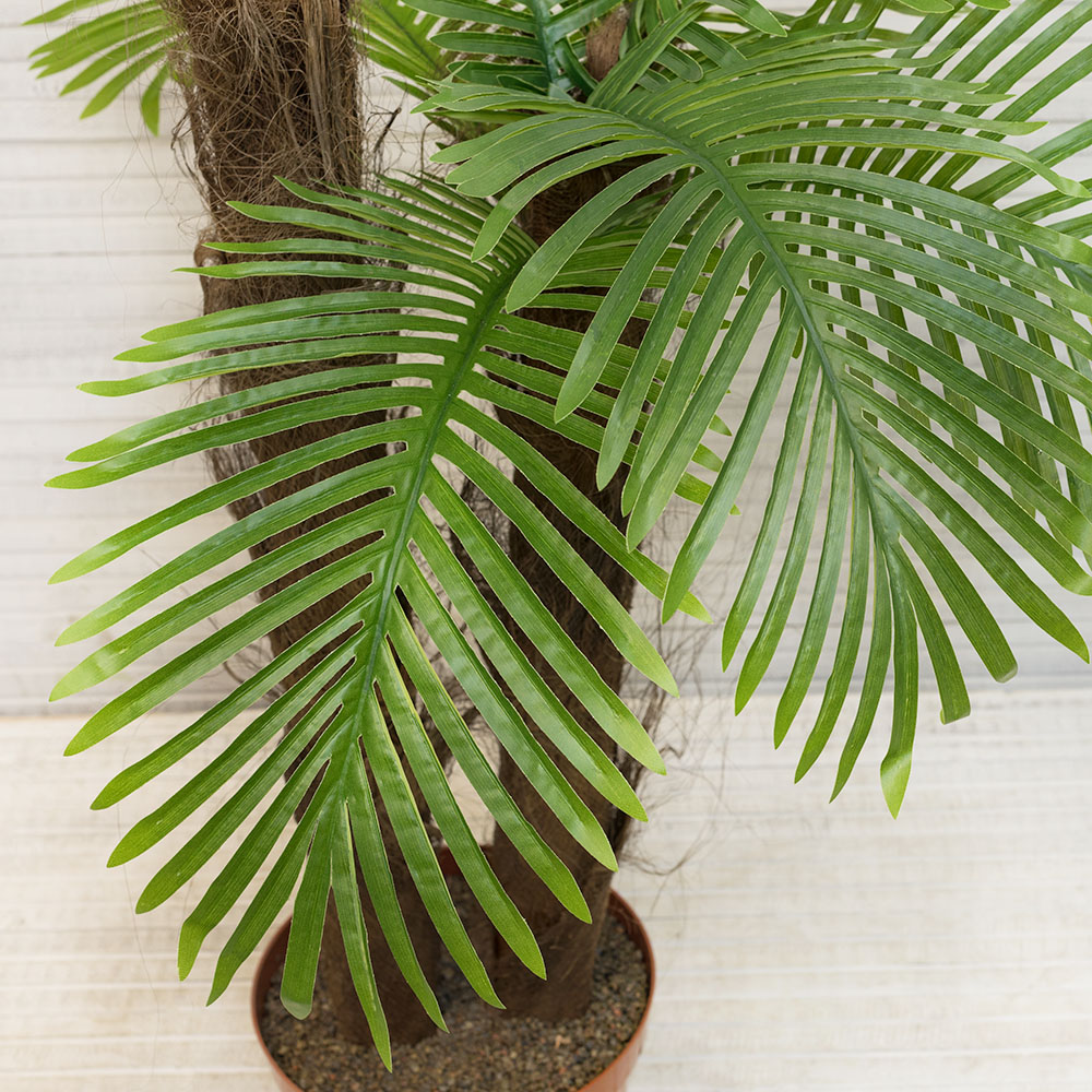 П170/2К/49Л Пальма Арека (латекс) h-170см_3