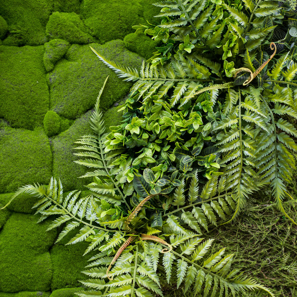 Фитостена 97(з.)_1