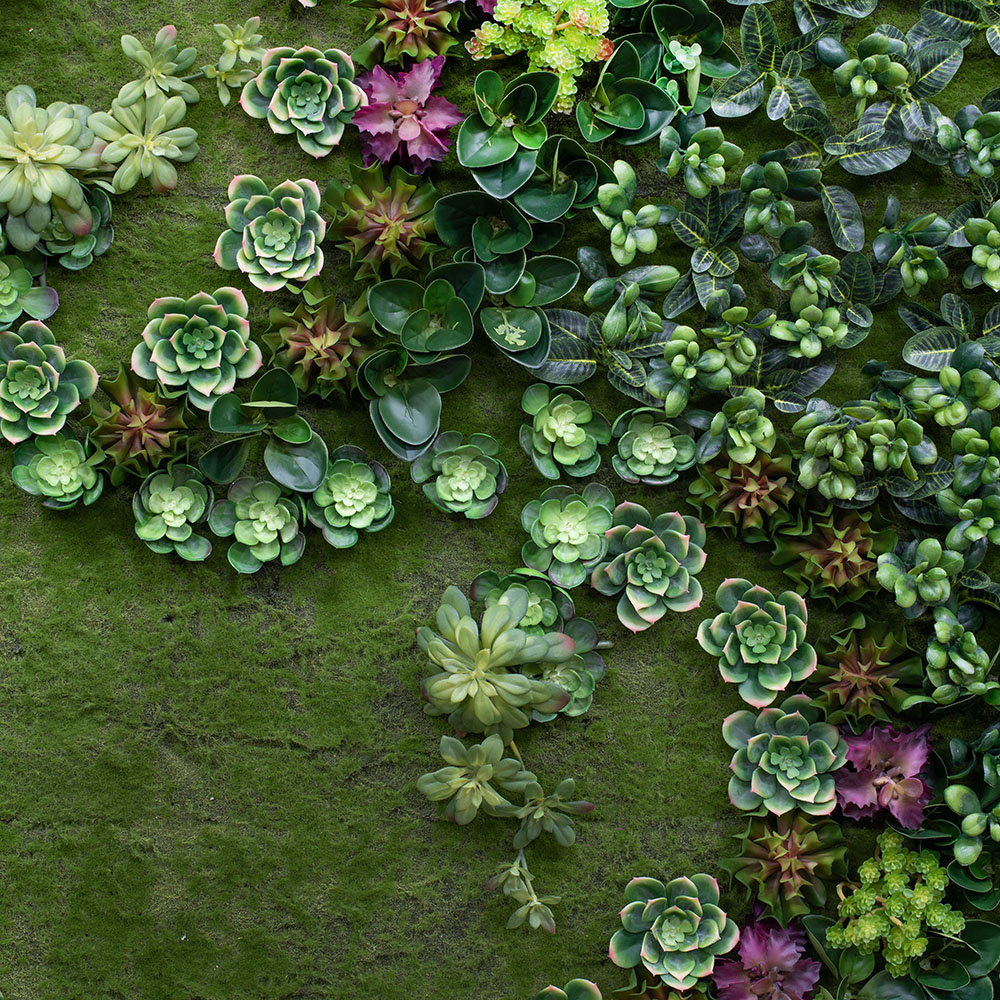 Фитостена 85 