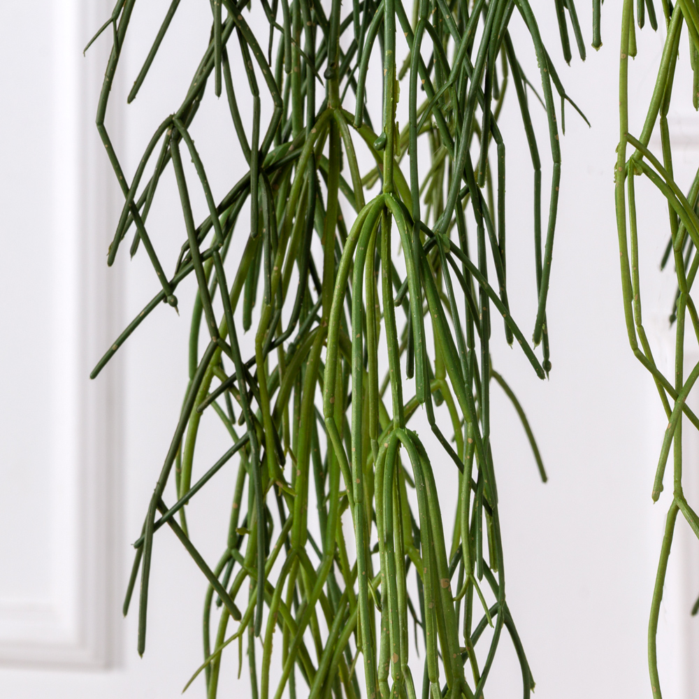 КЗ/21-1(з) Композиция искусственная Рипсалис ампельный в подвесном кашпо _2