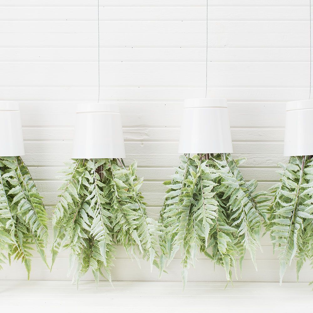 СП05-1 Sky Planter Циртониум h-35 в кашпо (11*10)_3