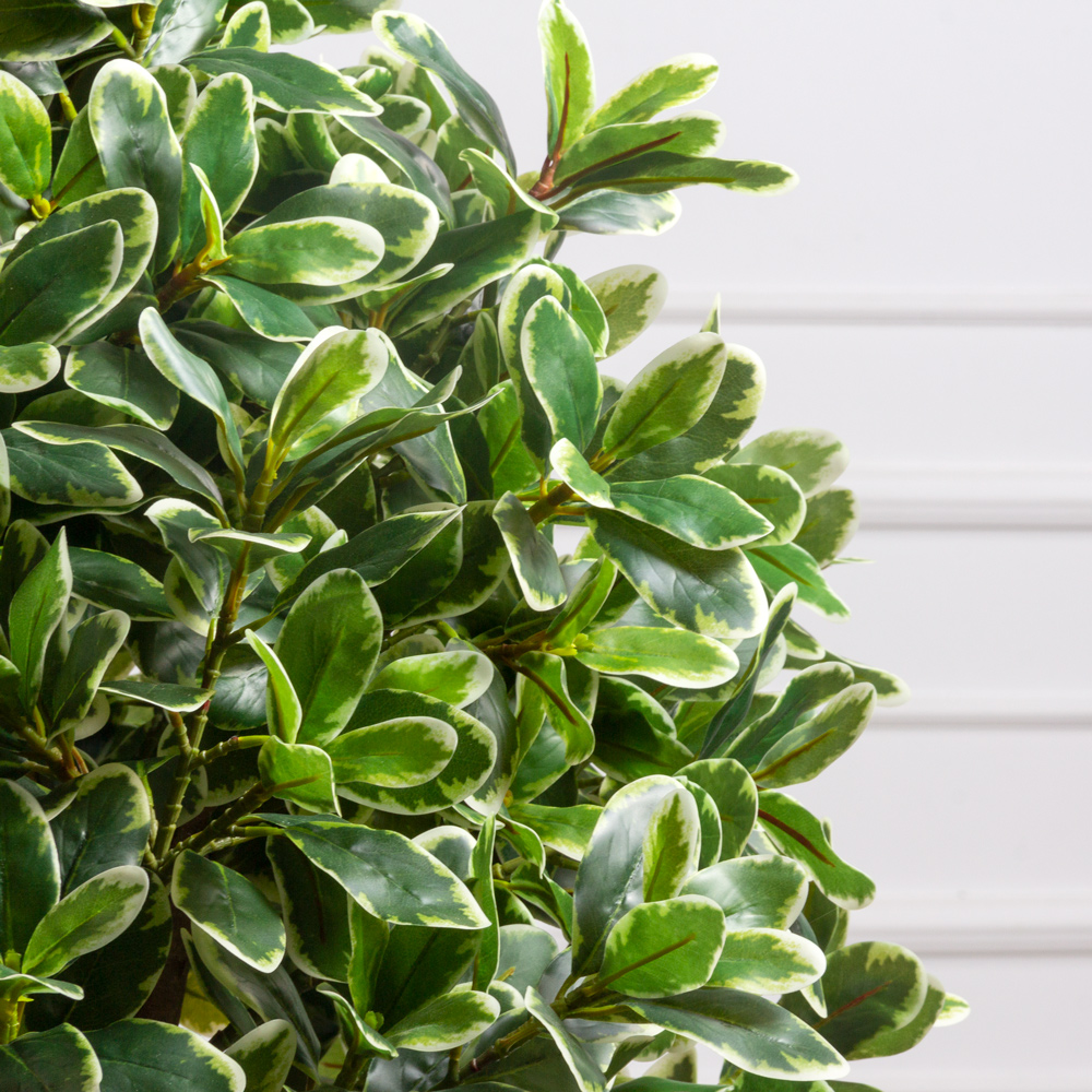 130/К/519(з)(F) Питтоспорум искусственный куст пестрый h130см_2