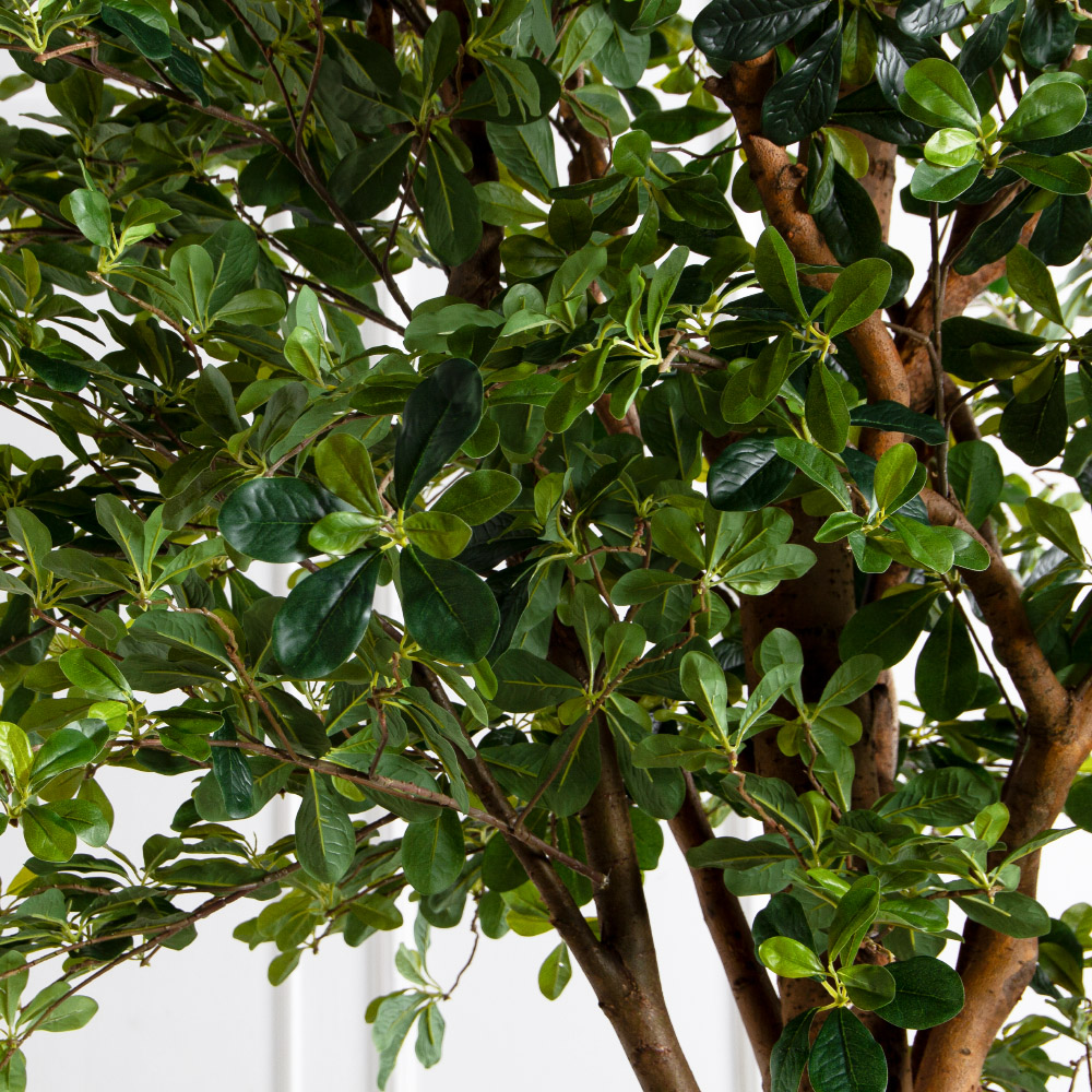 290/РН/84-1(з)(F)  Шеффлера искусственная h290 d160х65см на фанерн.основании d50_3