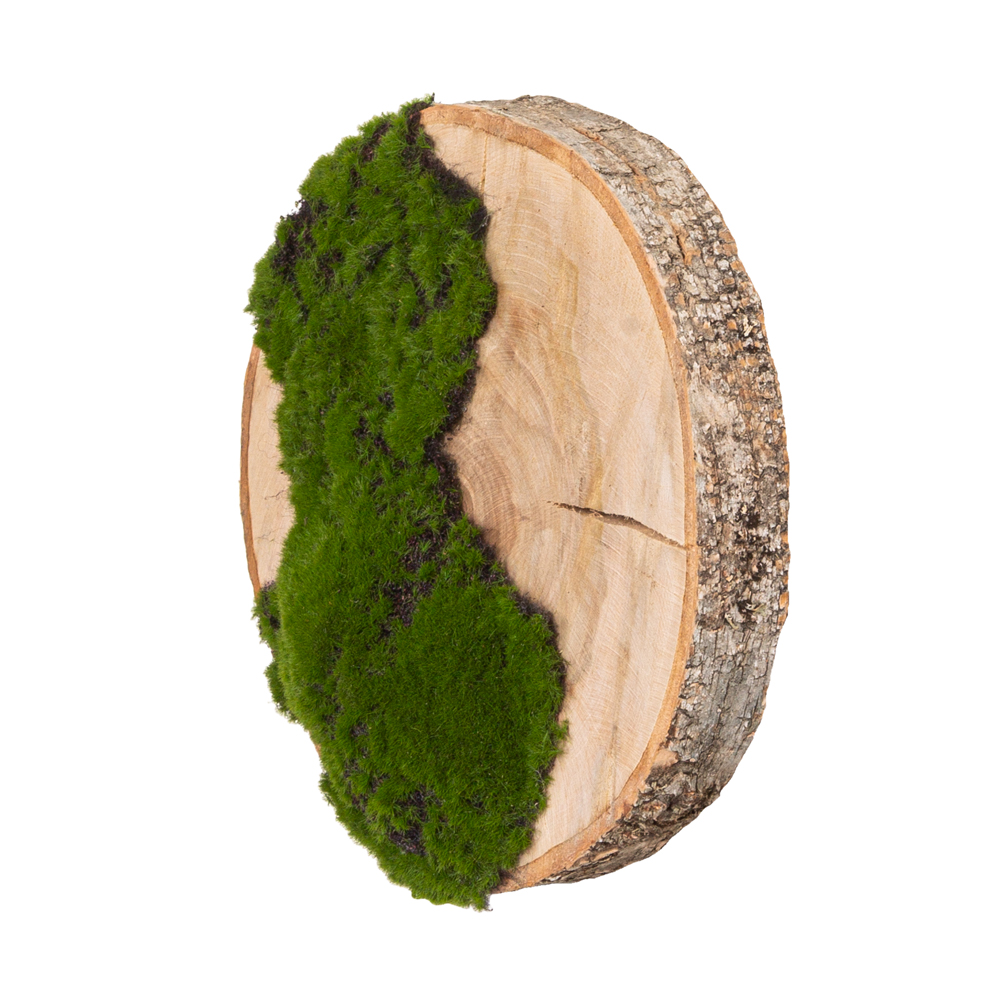 БК140/14 Композиция на березовом спиле d30-40см_1