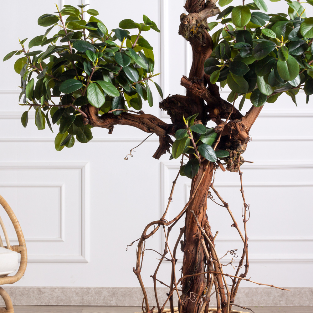 160/3К/ОС/Кор/527(Пр)(F) Фикус искусственный Грин Исланд, h160см_6