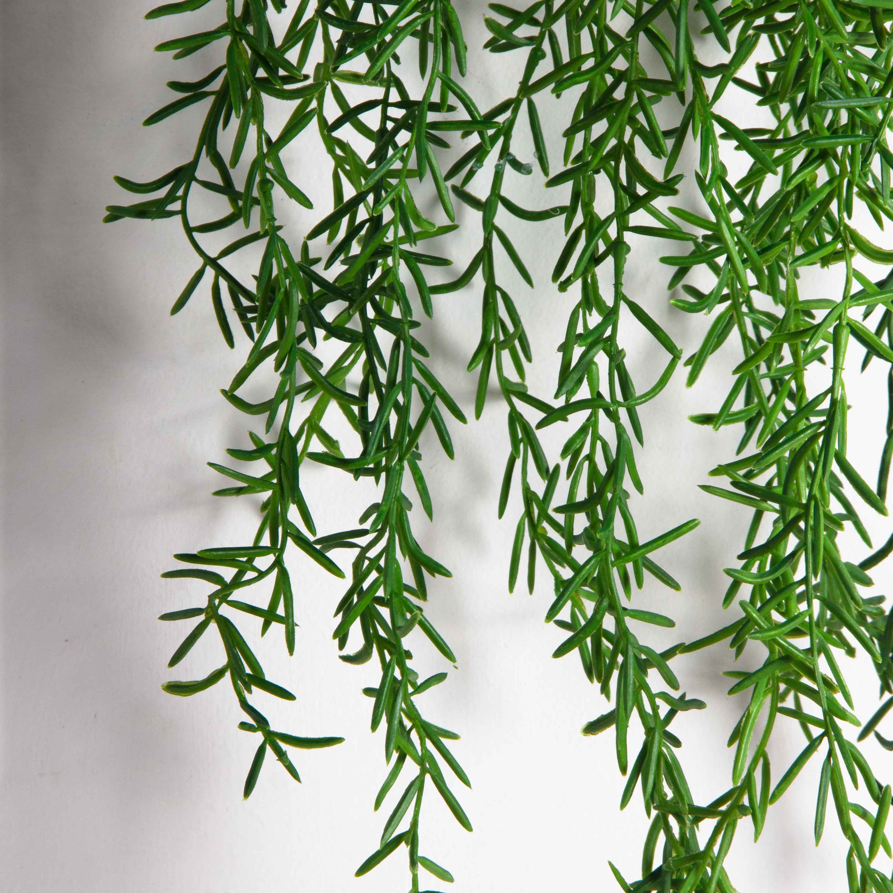 ККД35/209(з.)(F) Кокедама с ампельным аспарагусом на шаре d15см_5