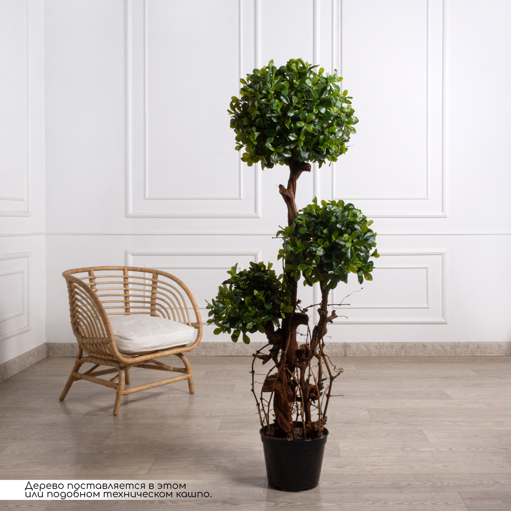 160/3К/ОС/КОР/204(Пр)(F) Питтоспорум искусственный горный h160см (латекс)_1