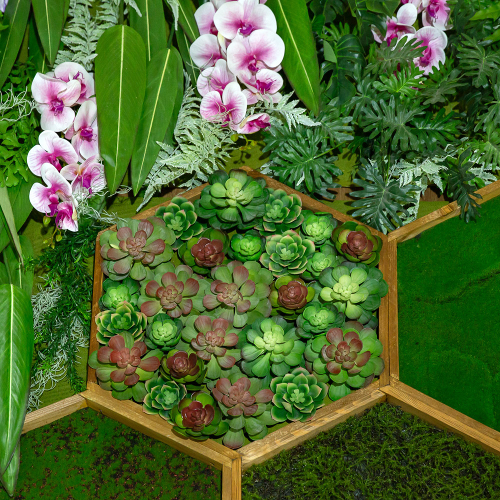 Фитостена 101_6