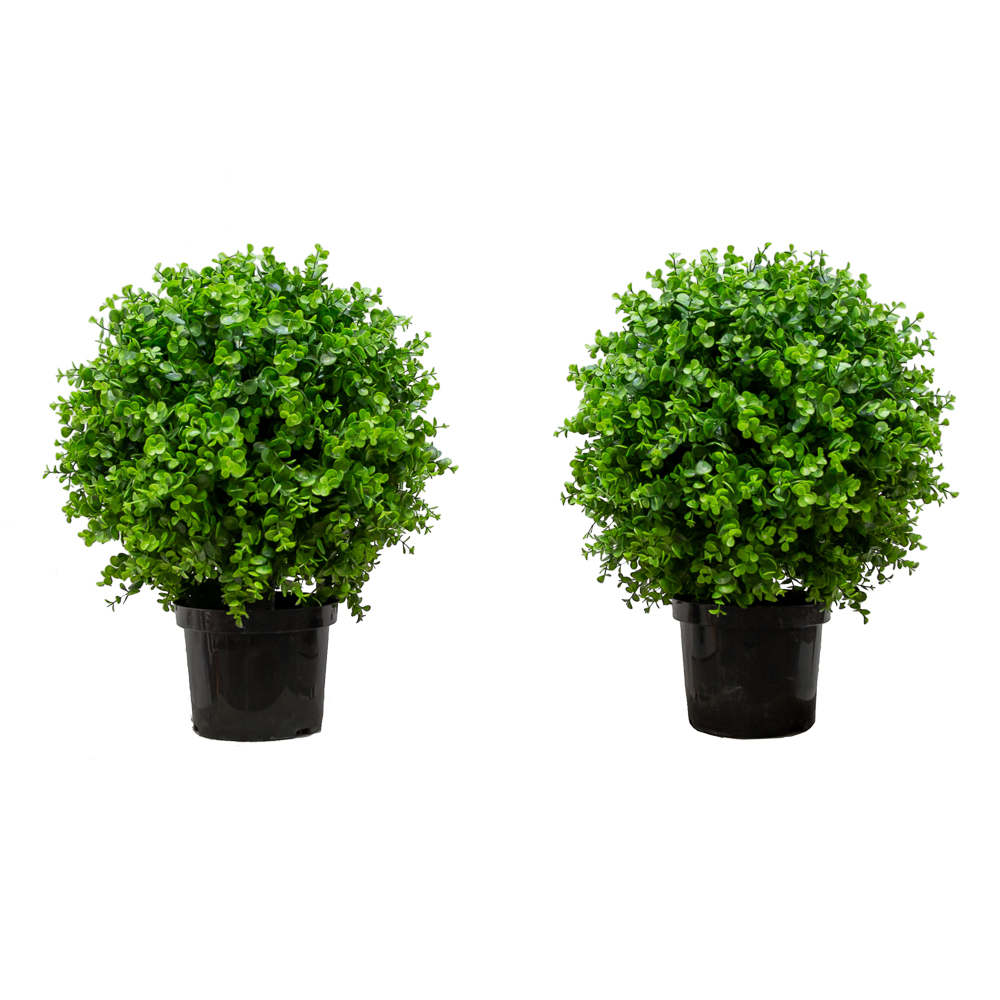 СШ45/228-5 Самшит-шар эвкалипт 