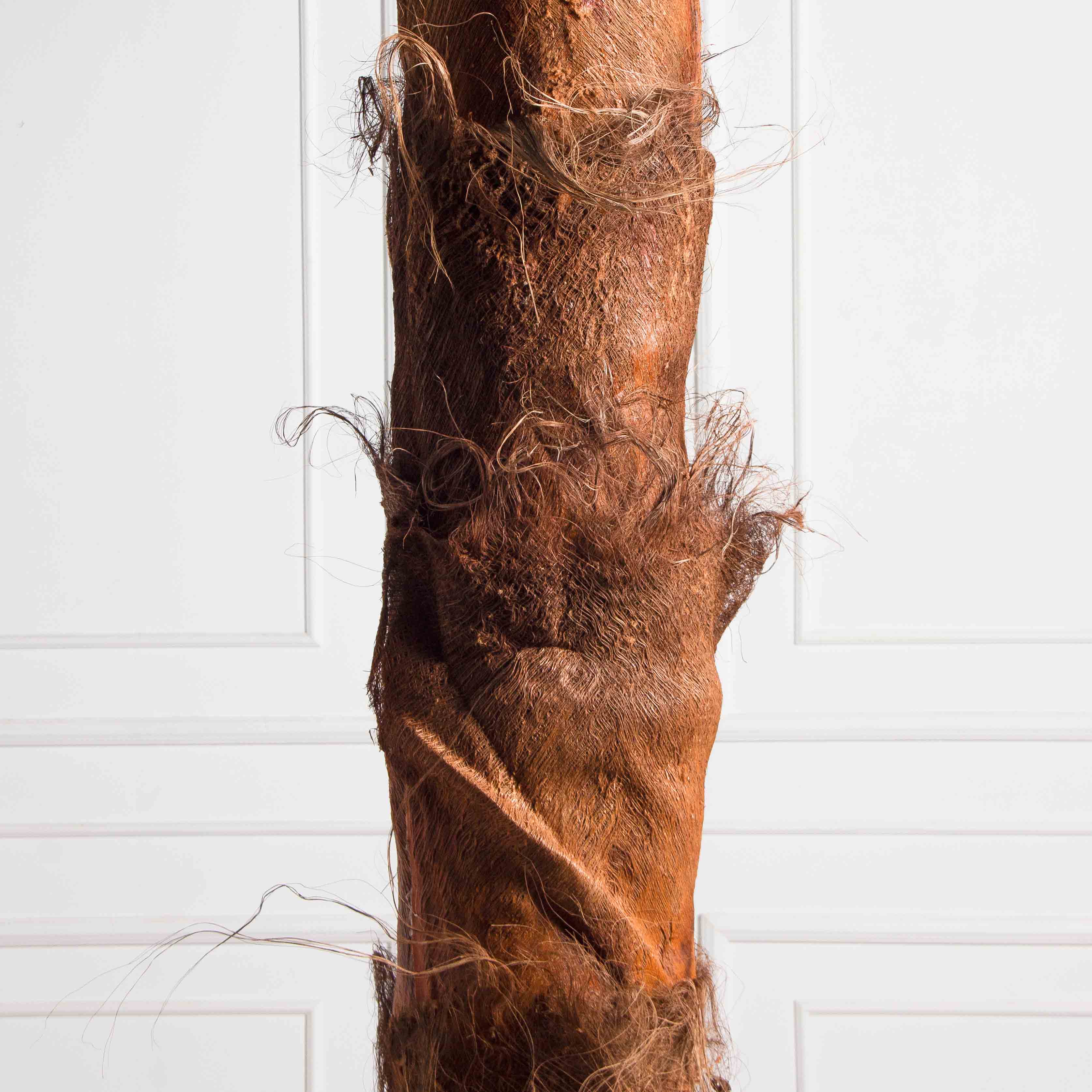 ПС350Разб/ТР/49Люкс(Пр)(F) Пальма Арека искусственная h350см (латекс) на мет.основании_12