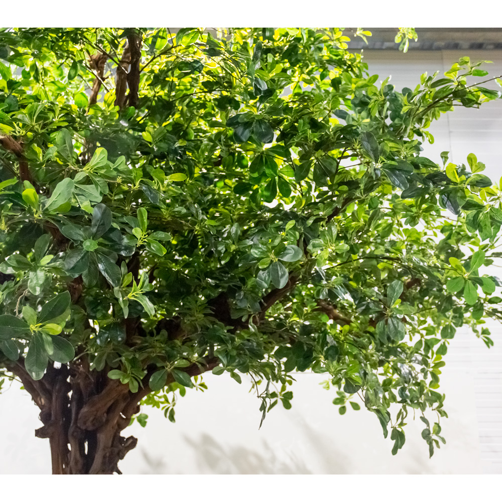 360/ОС/84(з/УУ) Шеффлера искусственная h360см_5