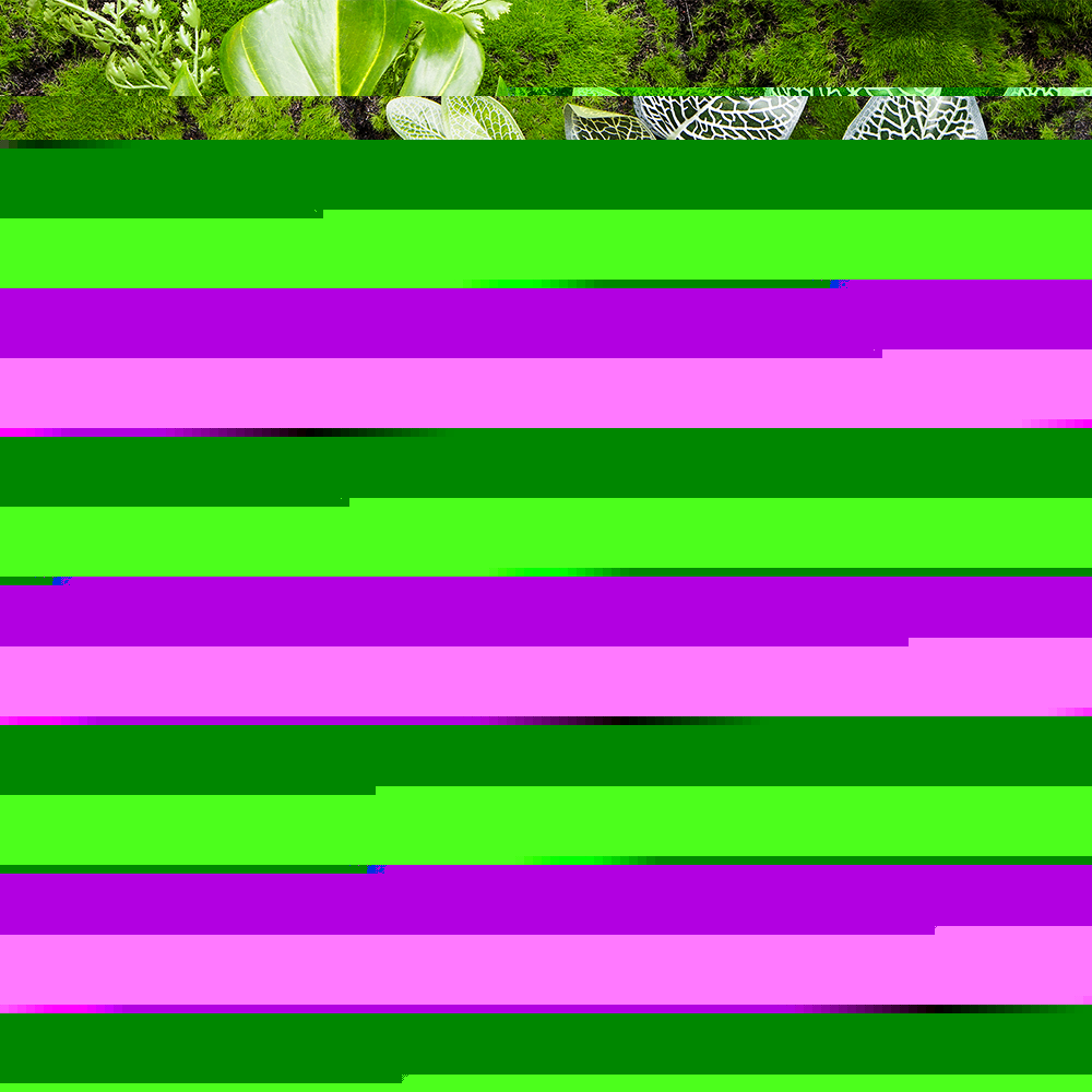 Фитостена 122 (1кв.м)_2