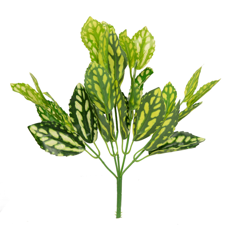 7143/9105-16 Пилея Кадье *5ч (латекс)