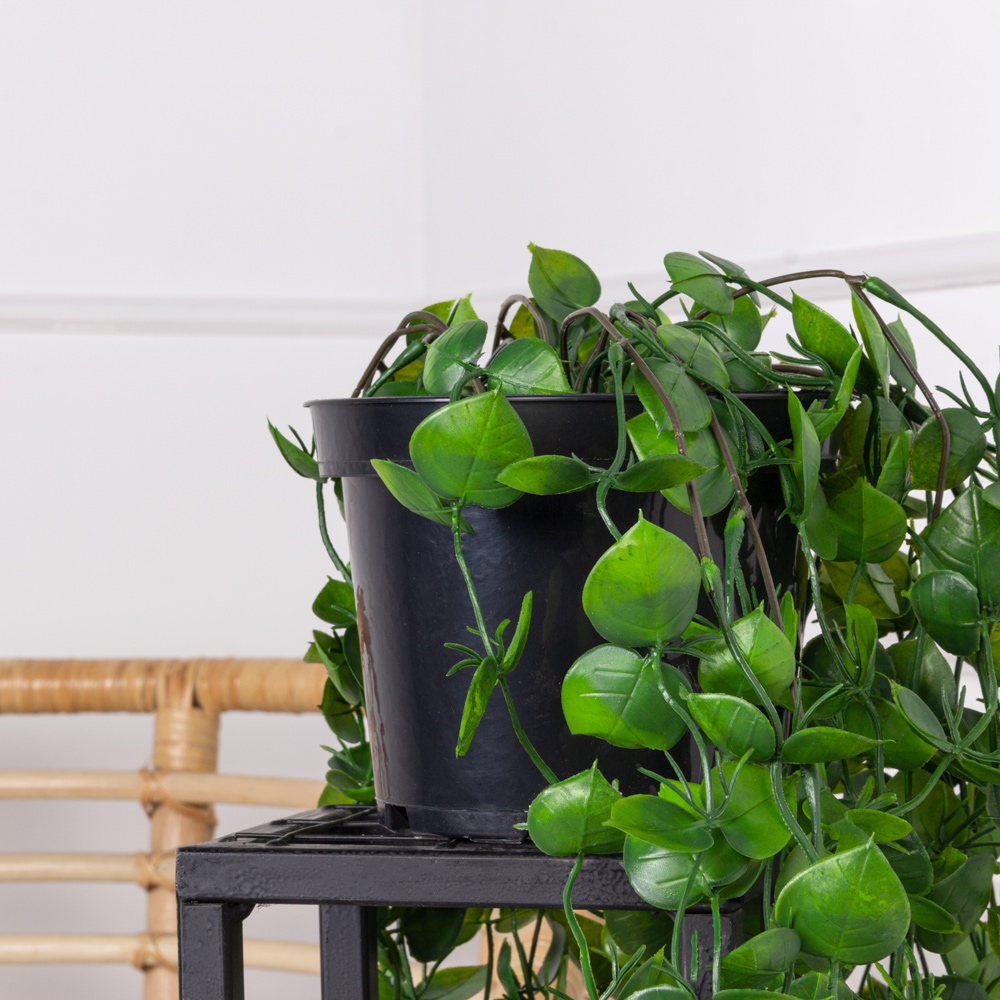 КС88 Самшит искусственный ампельный с ресничками в кашпо d11см_11