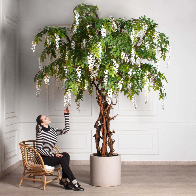 280/ОС/ПС/424(Пр)(F) Глициния(вистерия) искусственная h280см (латекс), белая_1