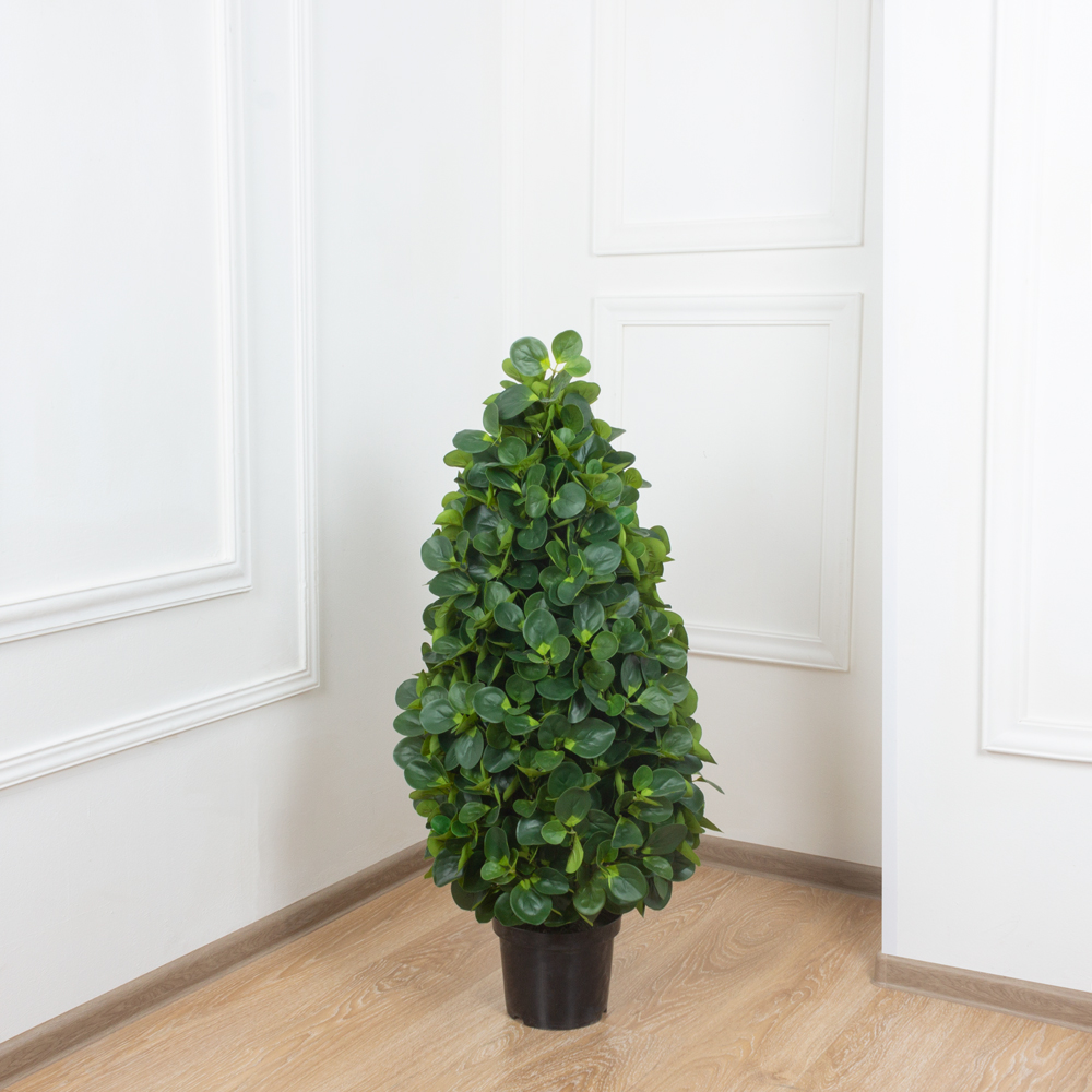 ДК110/473 Питтоспорум искусственный конус h110см_1