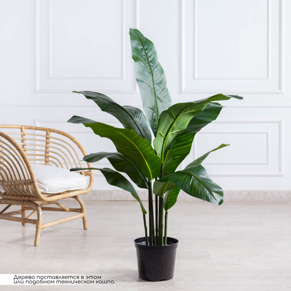 П120/43(з)(F) Банановая пальма искусственная h120см (латекс)_1