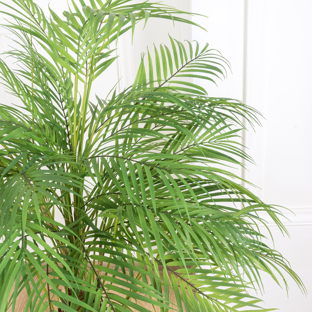 П125/К/359(Promo) Пальма искусственная Робелена, h125см_6