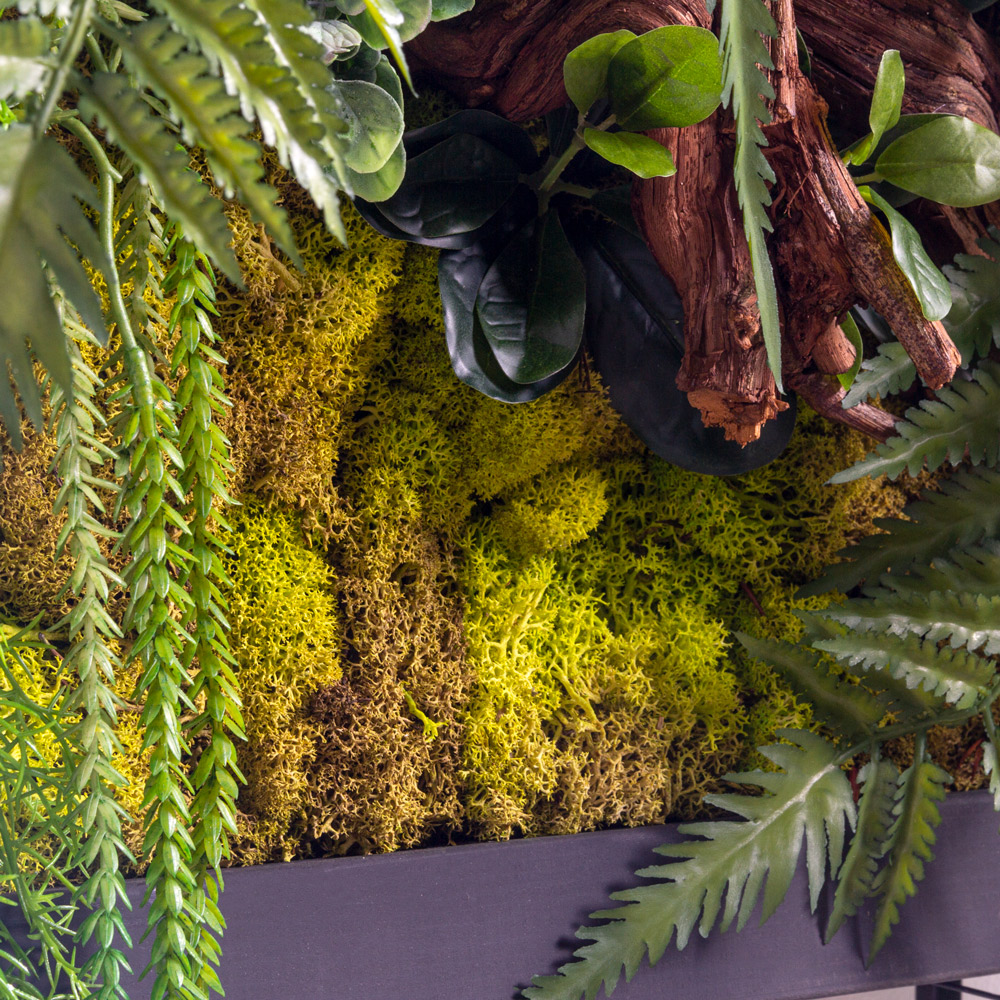 СКФ07(F) Фитокартина искусственная со стабилизирован. мхом 46х65см_3