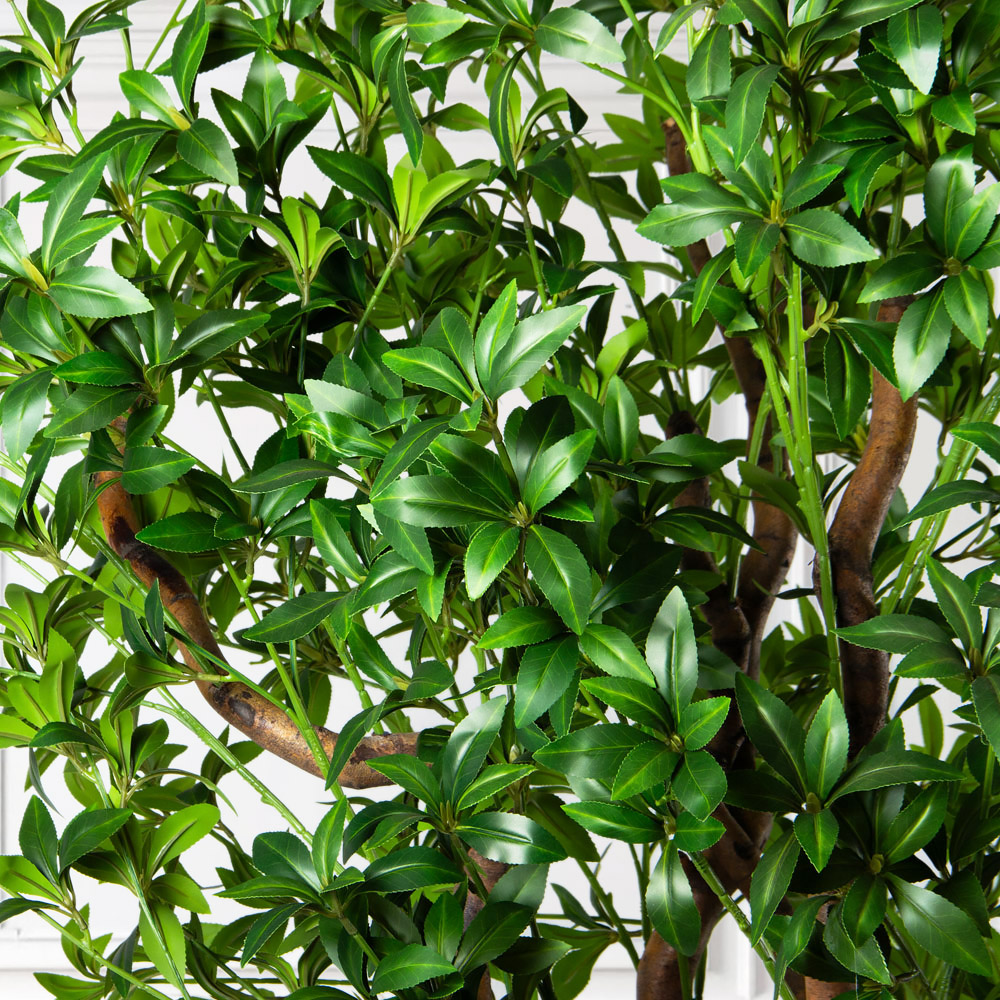 300/ВИТ/АСС/526(з)(УУ)(Пр)(F) Бересклет искусственный h300см_7