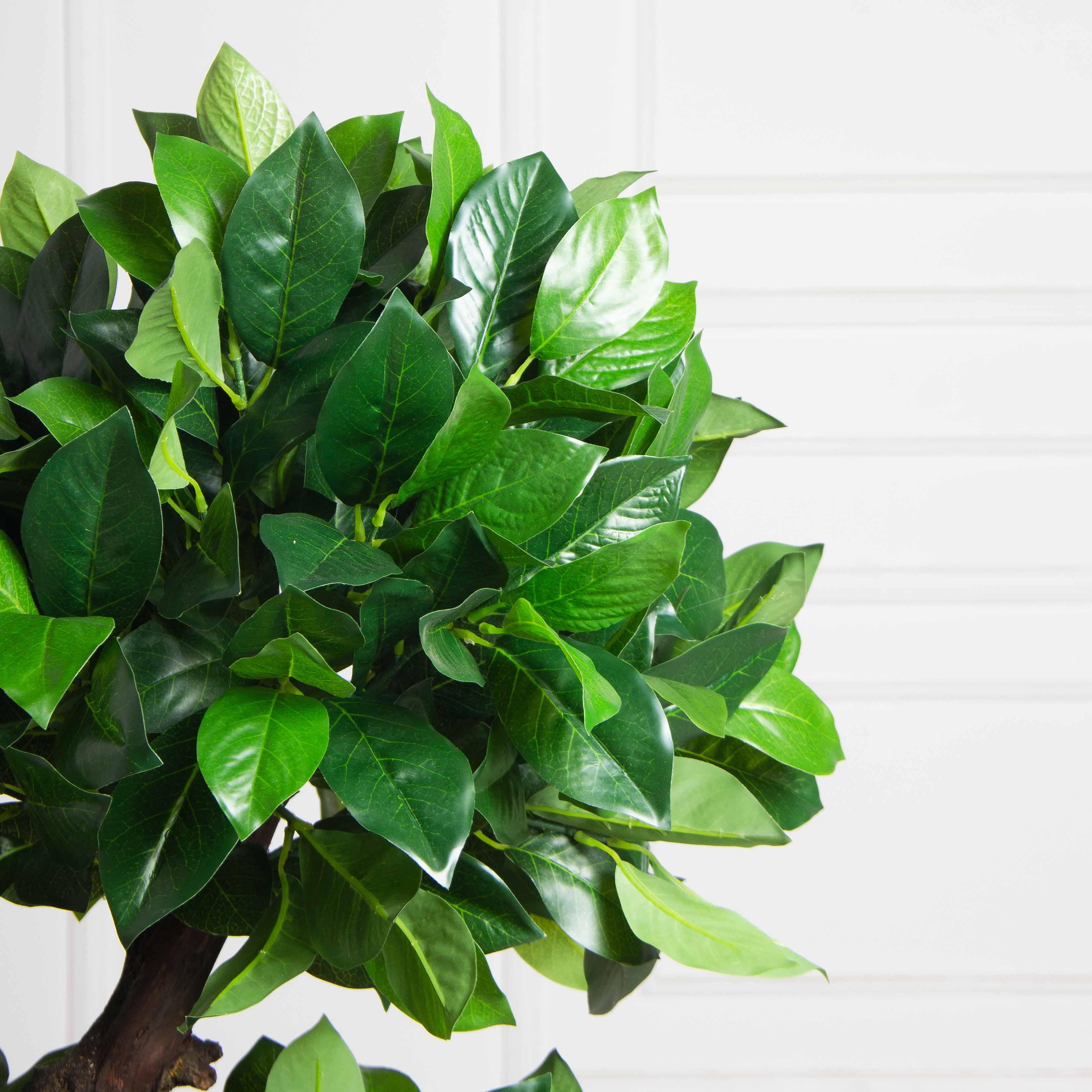 100/ОС/3К/190(F) Лавр искусственный камфорный h100см (латекс)_6